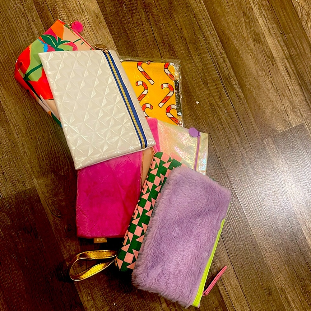 Mini makeup bag